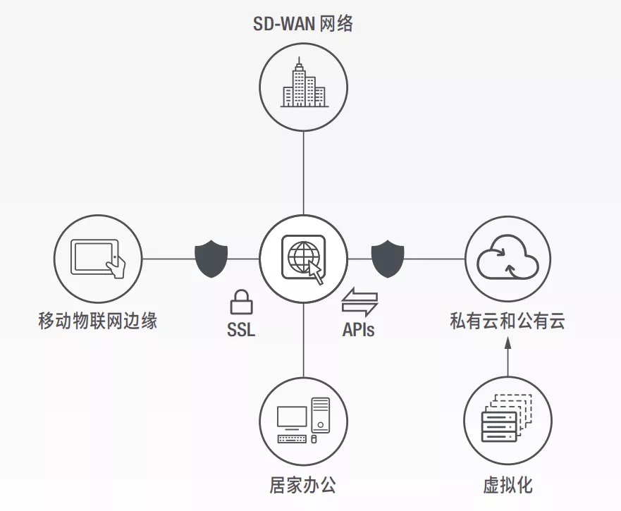 8.webp
